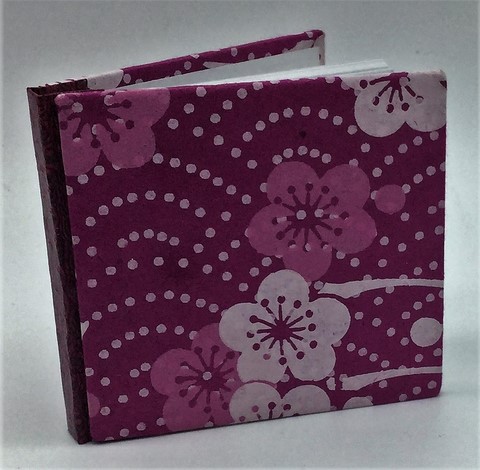 Livre de Naissance
