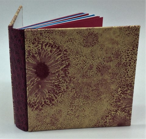 Livre de Naissance