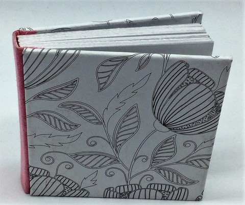 Livre de Naissance