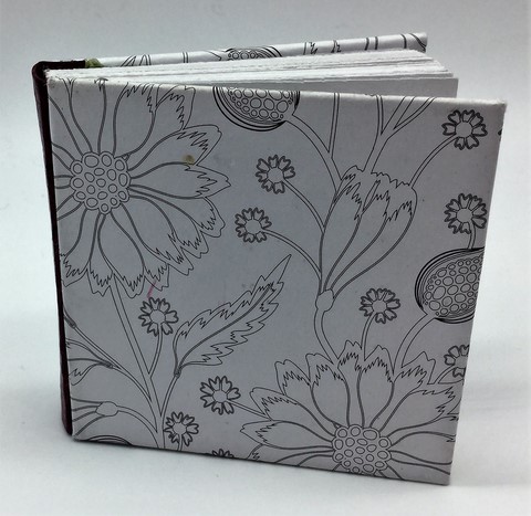 Livre de Naissance